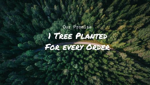 Plant More trees Joy Resolve Barisieur tea and coffee brewing alarm clock